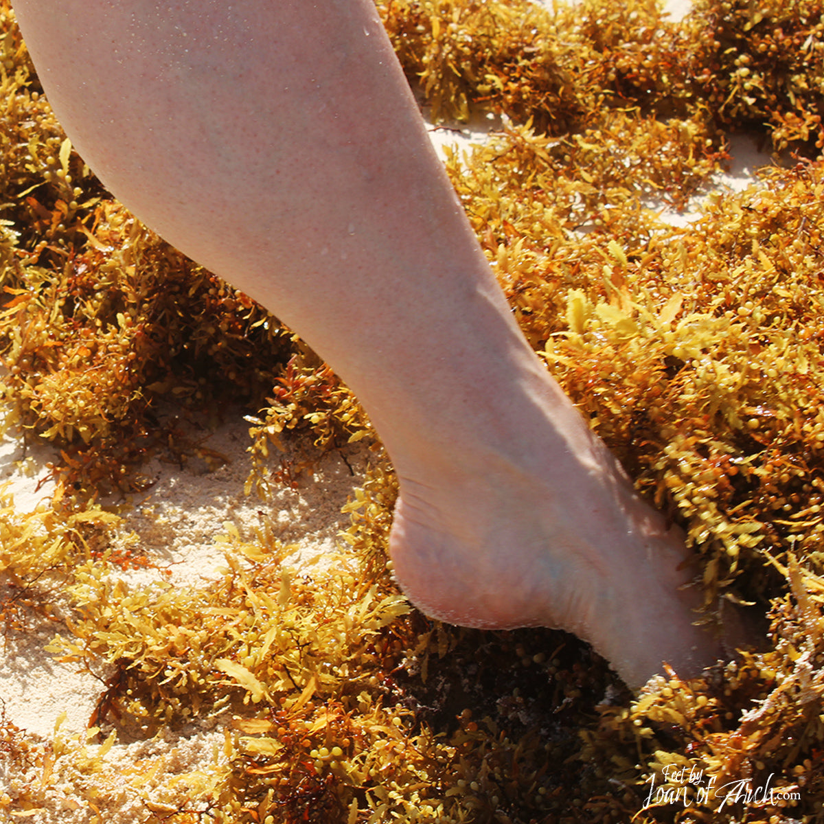 Mexico Beach Walk Set Image 1