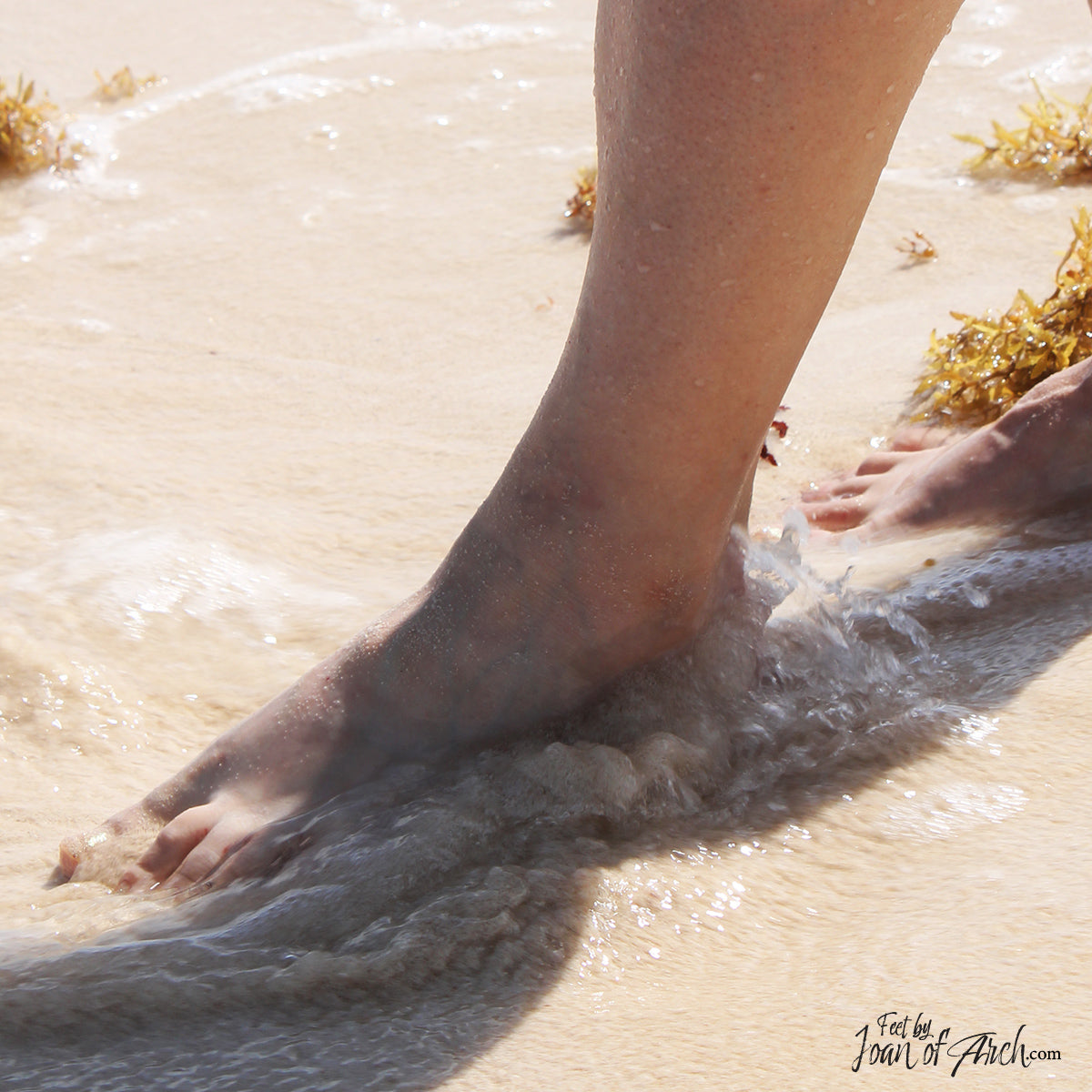 Mexico Beach Walk Set Image 6