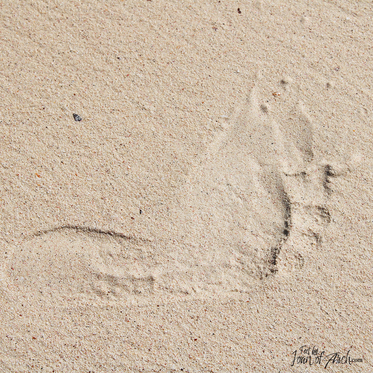 Mexico Beach Walk Set Image 14