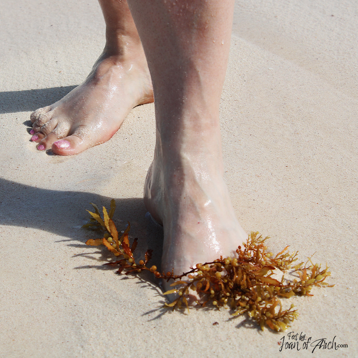 Mexico Beach Walk Set Image 12